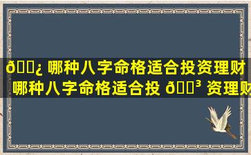 🌿 哪种八字命格适合投资理财（哪种八字命格适合投 🌳 资理财产品）